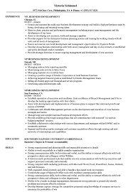 55 results for hotel cvs in accra metropolitan. Vp Business Development Resume Samples Velvet Jobs