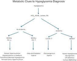 Hypoglycemia, exercise, trauma, infection, and other stress. Recommendations From The Pediatric Endocrine Society For Evaluation And Management Of Persistent Hypoglycemia In Neonates Infants And Children The Journal Of Pediatrics