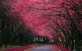 If you have your own one, just create an account on the website and upload a picture. Beautiful Wallpapers Free Download Group 84