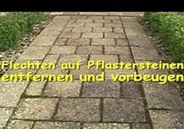 Pin Von Trudi Auf Garten Pflastersteine Pflaster Und Flechten