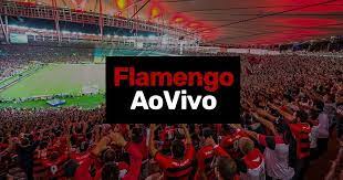 assistir flamengo ao vivo nunca foi tao rapido e facil os melhores jogos do flamengo e aqui jogos e noticias jogo do flamengo flamengo ao vivo assistir jogo