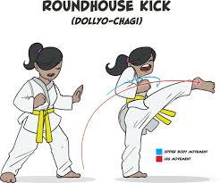 5 Key Taekwondo Kicks Illustrated Blitz Blog Taekwondo Martial Arts Training Roundhouse Kick