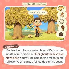 Mushroom Season Animal Crossing Guide Animal Crossing Animals
