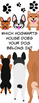 Which Hogwarts House Does Your Dog Belong In Harry Potter House Quiz Harry Potter Quizzes Harry Potter Dog