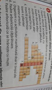 În pofida faptului că perioada de instruire la școala auto este de trei luni, procesul de pregătire, studiere și examinare devine mult mai îndelungat. Complecteaza Careul Pe Caiet Si Vei Obtine Pe Verticala Denumirea Unui Termen Cheie Al Temei Brainly Ro