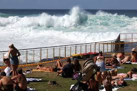 Robertita de franco came across an announcement she was