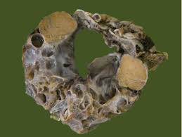 Although multicystic mesothelioma is generally regarded as a benign lesion, local recurrence has been documented in up to 50% of cases. Pdf Benign Multicystic Mesothelioma Arising From The Tunica Vaginalis Semantic Scholar