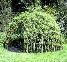How To Make A Living Willow Den Plants Garden Inspiration Garden