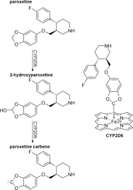 Paroxetine Wikipedia