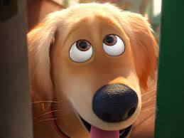 Golden retriever rescued from new. The Golden Retriever The Secret Life Of Pets Wiki Fandom