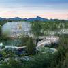 Anlässlich der expo 2010 hat die stadtregierung shanghai deshalb mal eben den größten botanischen garten chinas eröffnet. 1