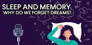 Mengapa Kita Lupa Mimpi? Ilmu Tidur & Memori