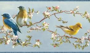 Blue Birds And Flowers Wallpaper Wallpaper Border Hautman Brothers Songbird Blue Yellow Birds Pink White Flowers Ebay Wallpaper Border Yellow Flower Wallpaper Wallpaper