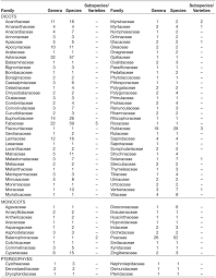 Image result for Cirsium  buchwaldii