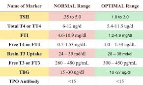 Normal Tsh Level During Pregnancy Normal Thyroid Level For