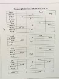 Genetic practice problems for you to try! Answered Transcription Translation Practice Ws Bartleby