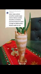 Latinos en Estados Unidos: Cultura y Predicciones 2023