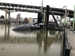 Image result for Blu 1968 Fleet