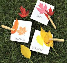 Kate describes how to make fabulous leaf crowns. We Re Going On A Leaf Hunt Activities W Free Worksheet Edventures With Kids
