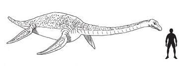 Hydrotherosaurus Water Beast Lizard