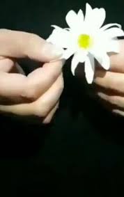 Penduduk mesir menggunakkan tali lebih kurang 5000 tahun lepas (syed hasyim, 1983). Liyakun Abdumalikovamushtaribonu Profil Pinterest