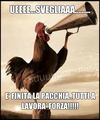 Buongiorno Buongiorno Divertente Immagini Divertenti Buongiorno