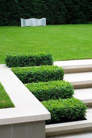 Pin On Jardim Paisagismo