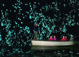 紐西蘭嘅懷托摩螢火蟲洞（Waitomo Glowworm Caves） 好靚呀！洞入面發光嘅都係螢火蟲BB！ ---------  【INFO】Waitomo Glowworm Caves 地址：39 Waitomo Caves Rd, Waitomo Caves,  Otorohanga 3943, 紐西蘭