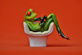 We did not find results for: Hd Wallpaper Frog Chair Cozy Tablet Pc Computer Cute Sweet Funny Wallpaper Flare