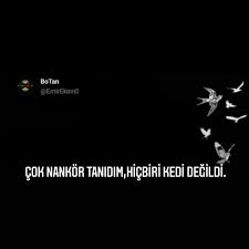 Nankor 2020 Ilham Verici Sozler Guzel Soz Ozlu Sozler