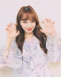 We did not find results for: Pin Oleh Yana Di Iz One Yuri Kim Lee