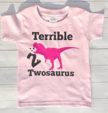 Dinosaur Shirt Dinosaurs Funny T Shirt Toddler Girl Gift Funny Kids T Shirt Terrible Twosaurus Second Birt Funny Sibling Shirts Toddler Tshirts Dinosaur Shirt