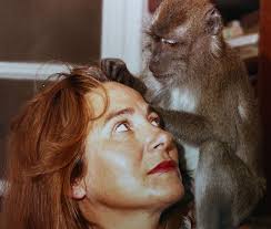 The Film Corner with Greg Klymkiw: 2017