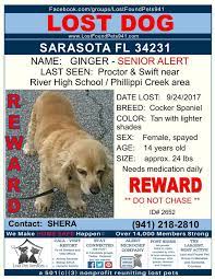 « » press to search craigslist. Louisville Craigslist Pets Lost And Found Nar Media Kit