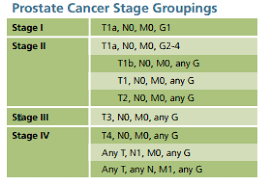 Image result for Prostate Cancer Staging