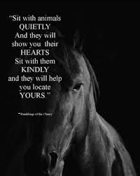 Touched By A Horse Inspirational Horse Quotes Country Girl Quotes Equestrian Quotes