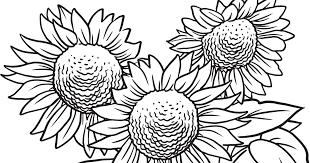 This wallpaper was upload at october 2. Download Our Printable Wildflower Coloring Pages Texas Highways