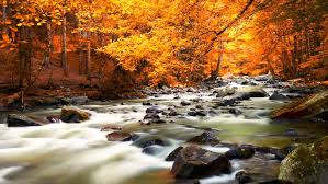 Musica relajante — adagio 03:12. Musica Relaxante E Sons Da Natureza Acalmar Relaxar Dormir Relaxing Music Nature Autumn Landscape