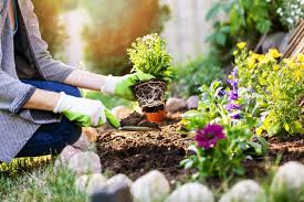 Maximize your minimal gardening space by strategically pairing fruits. Backyard Flower Garden Ideas How To Make A Backyard Flower Garden