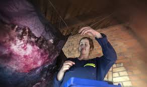 Med Kosmos i konsten