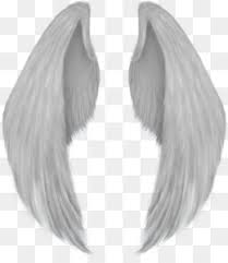 Png clipart vector cut cutting. Angel Wing Png Angel Wings White Angel Wings Angel Wings Vector Baby Angel Wings Pink Angel Wings Black Angel Wings Blue Angel Wings Angel Wings Outline Angel Wings And Halo Fallen