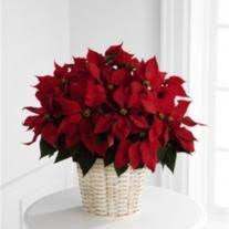 Herman Kemp Jr. Obituary