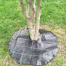 Although there are others, they are often a variation of these four. Garden Cover Spikes Plastic Cloth Securing Pins Weed Fixing Landscape 100pcs Landscape Fabric Anchor Pins Staples Stakes Home Garden Worldenergy Ae
