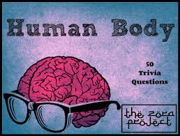 While you may think you know your body well, the truth is, there is a lot that goes on behind weird quirks and all, the human body is a a bewildering machine. Second Life Marketplace Zora Human Body Trivia
