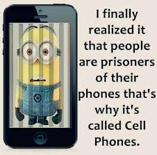 Image result for cat cell phone addiction memes