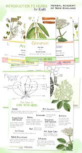 Tag Introduction To Herbs For Kids Homeschool Nature Study Herbalism Nature School