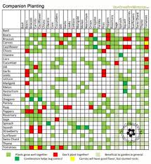 Gardening For Dummies Companion Planting Free Printable