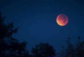 Gerhana bulan adalah fenomena alam yang terjadi karena bulan, bumi, dan matahari berada dalam satu garis lurus. Gerhana Bulan Total Akan Terjadi 26 Mei Kapan Waktu Yang Tepat Melihatnya Sindonews