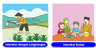 Interaksi Sosial Dan Interaksi Dengan Lingkungan Mikirbae Com
