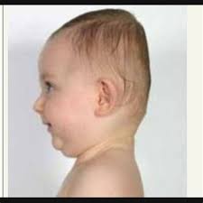 Amechi Community Tackles Kingsley Eze Over Community Land